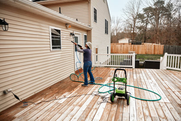 Best Power Washing Near Me  in Long Prairie, MN