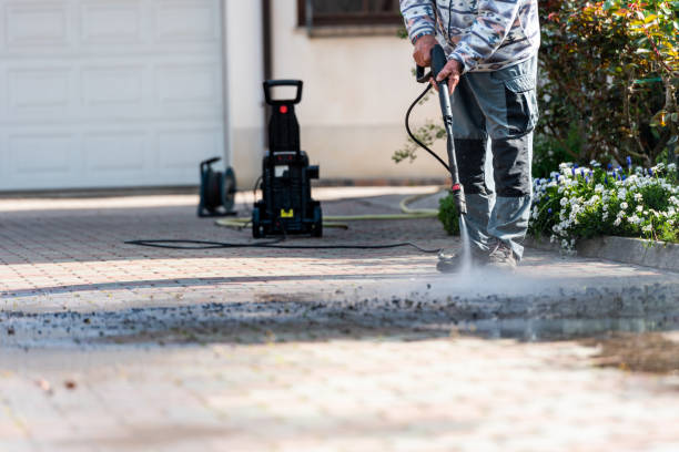 Roof Power Washing Services in Long Prairie, MN