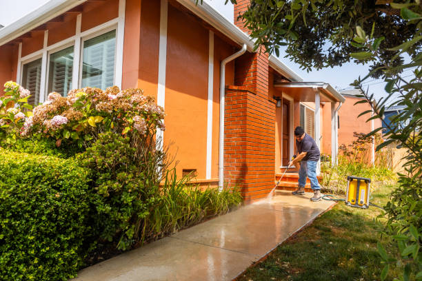 Best Affordable Pressure Washing  in Long Prairie, MN