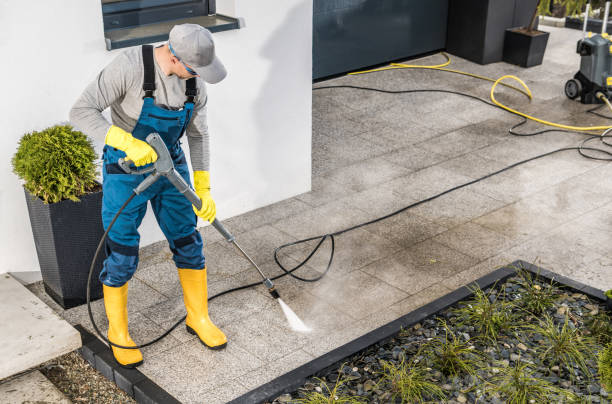 Best Roof Pressure Washing  in Long Prairie, MN