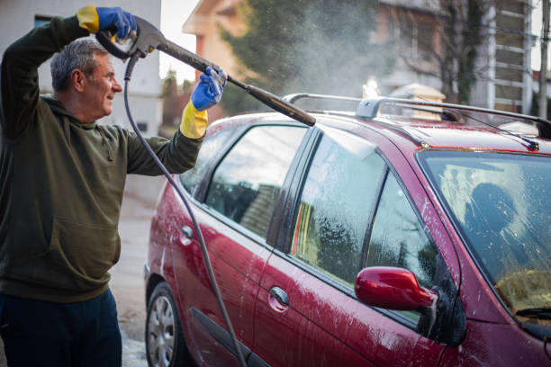 Best Roof Pressure Washing  in Long Prairie, MN