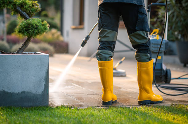 Best Local Pressure Washing Services  in Long Prairie, MN